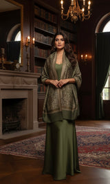 Kani shawl with zari