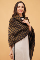 EXCLUSIVE CHECK ZARI STOLE
