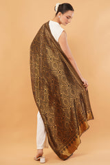 Fancy Zari designer stole