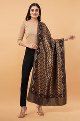 Reversible Ikat Zari stole