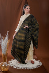 EXCLUSIVE CHECK ZARI STOLE