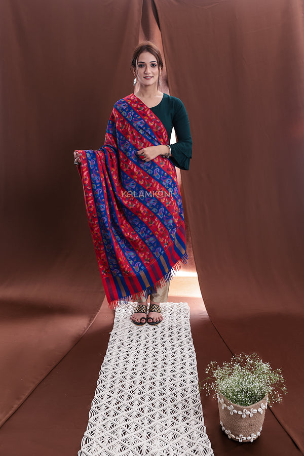 Pashmina Kani shawl